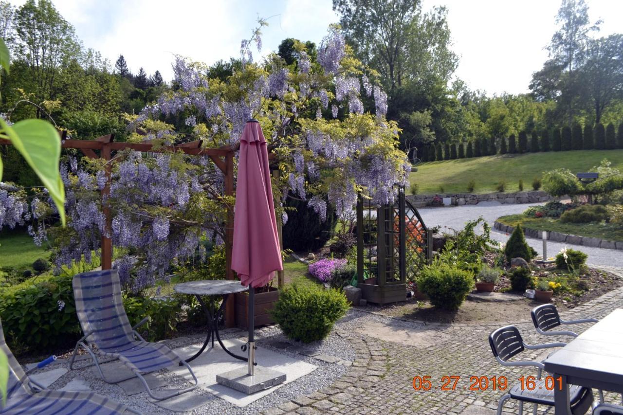 Zielony Zakatek Sosnowka Exteriér fotografie